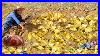 Finding The Huge Gold Deposit Under Stone At The Hillside Of Mountain How To Find Gold